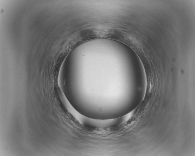 X0000060280221200511011015