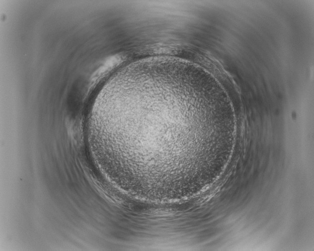 X0000060280250200511011014