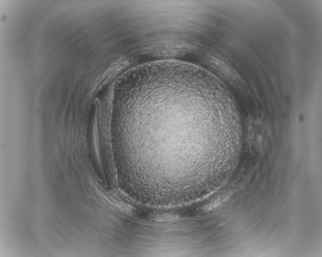 X0000060280258200511011014