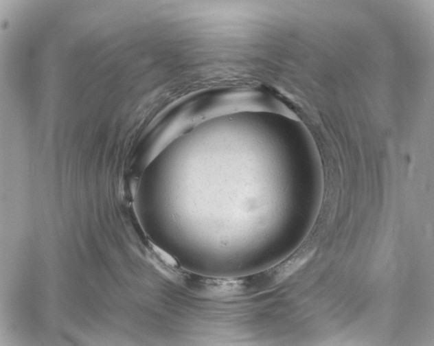 X0000060280288200511011014