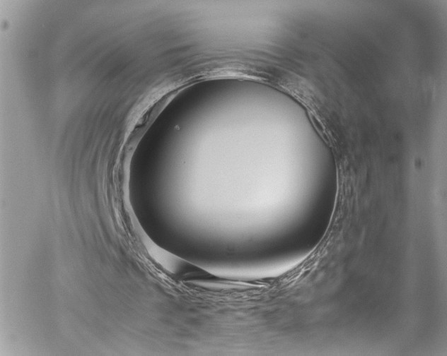 X0000060280289200511011013