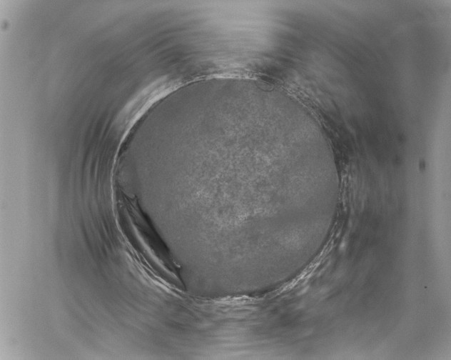 X0000060280290200511011013