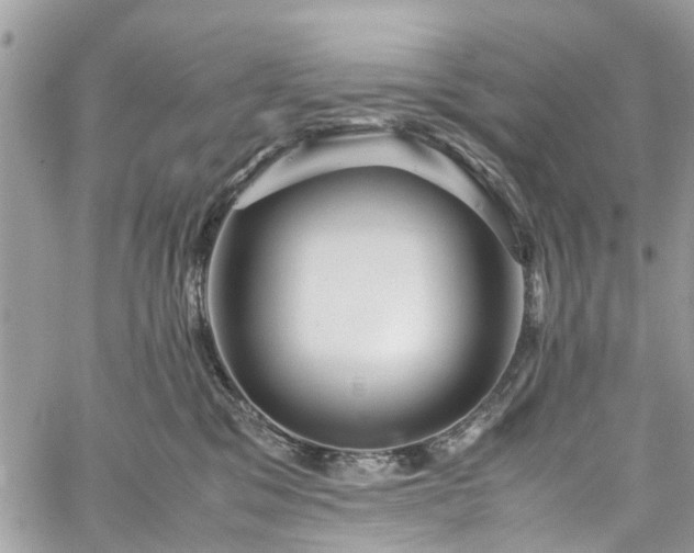 X0000060280329200511011013