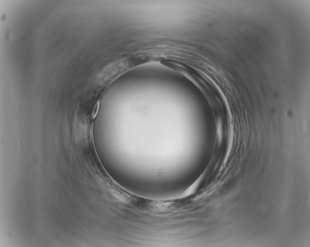 X0000060280333200511011013