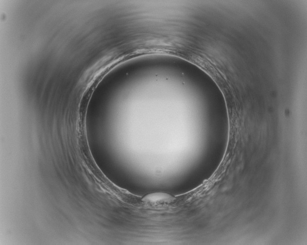 X0000060280338200511011012