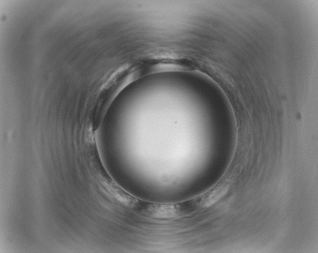 X0000060280384200511011013
