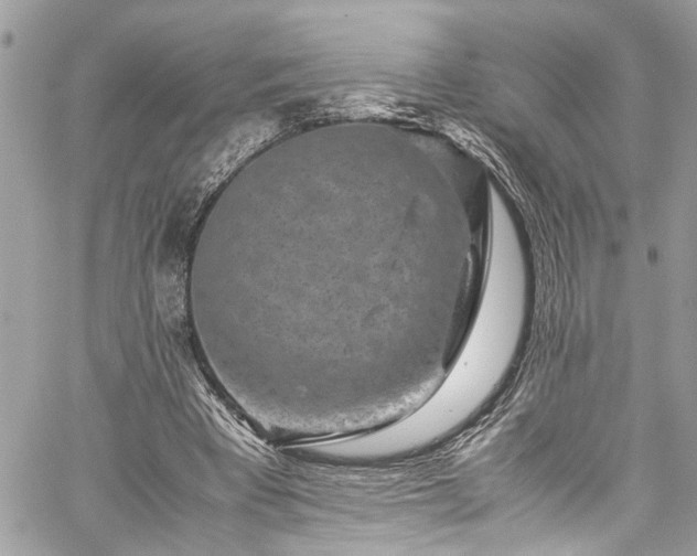 X0000060280393200511011012