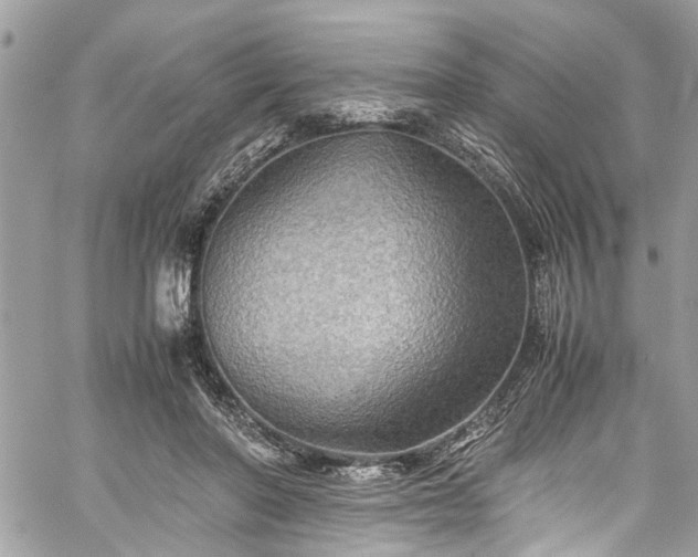 X0000060280406200511011011