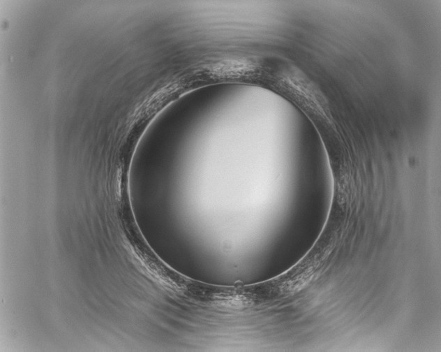 X0000060280454200511011011