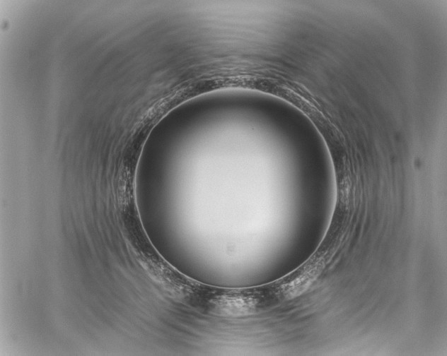 X0000060280464200511011011