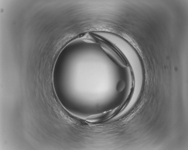 X0000060280481200511011010