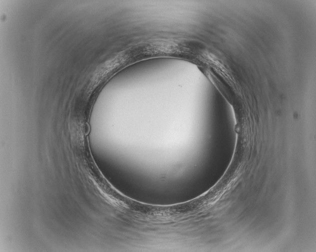 X0000060280489200511011010