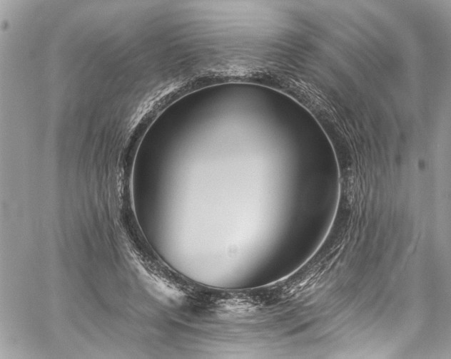 X0000060280544200511011009