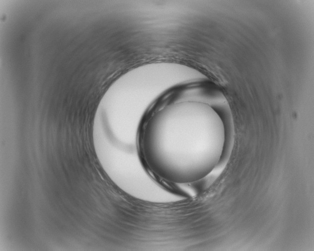 X0000060280576200511011009
