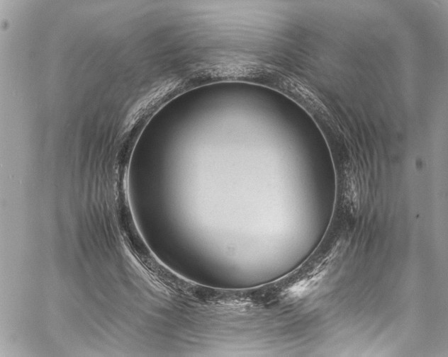 X0000060280586200511011008
