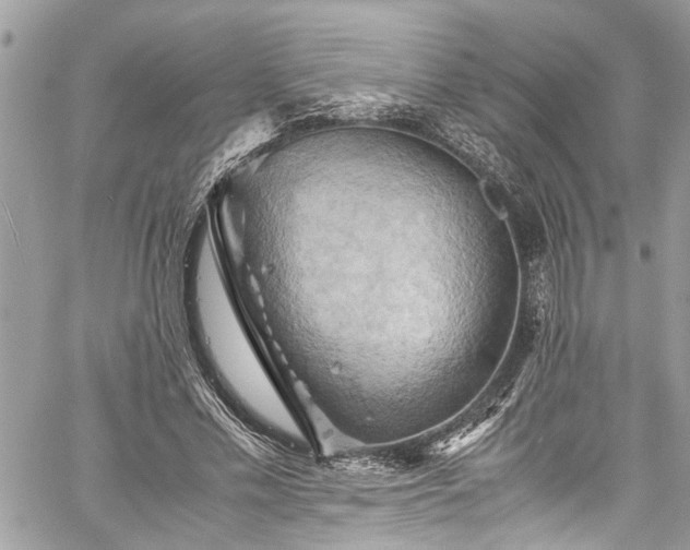 X0000060280589200511011008