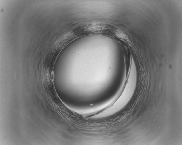 X0000060280597200511011008