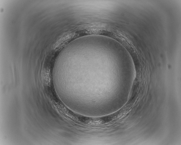 X0000060280599200511011008