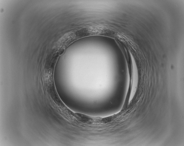 X0000060280601200511011008