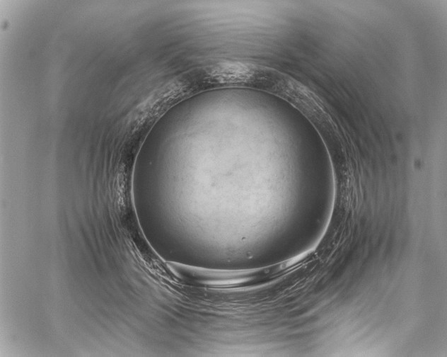 X0000060280604200511011008