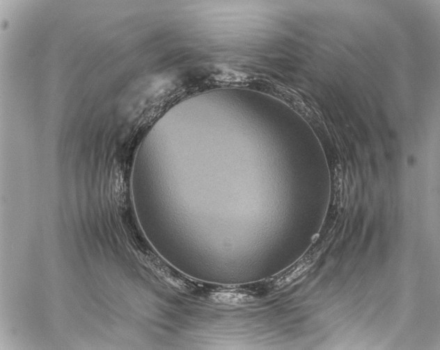 X0000060280614200511011008