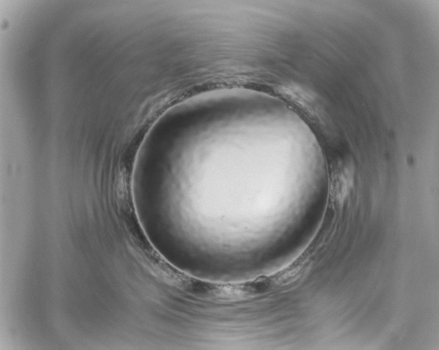 X0000060280623200511011008