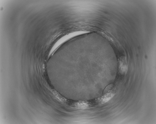 X0000060280668200511011008