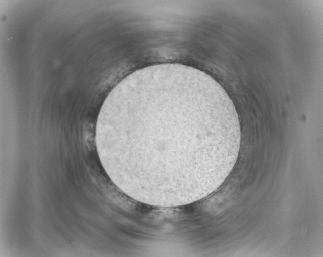 X0000060280672200511011008