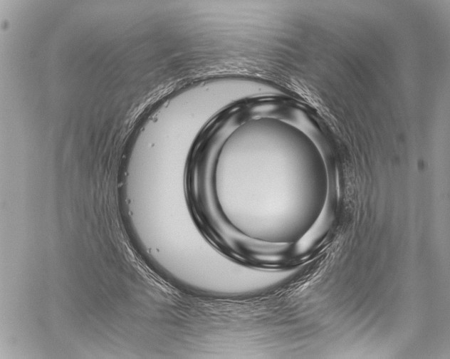 X0000060280681200511011007