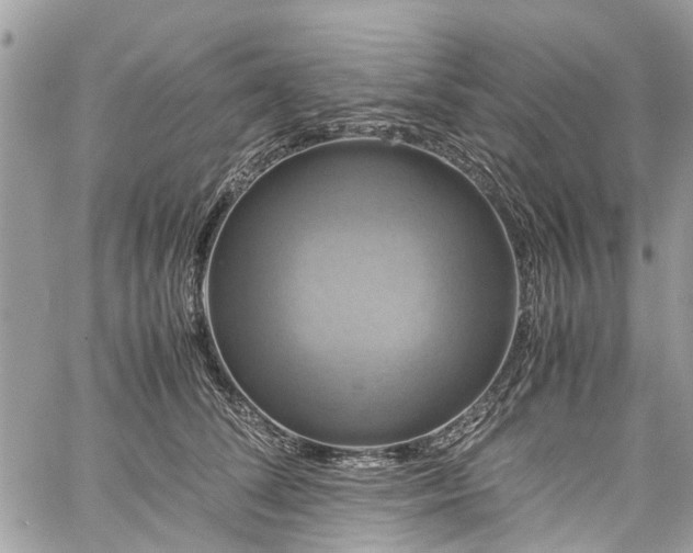 X0000060280708200511011006