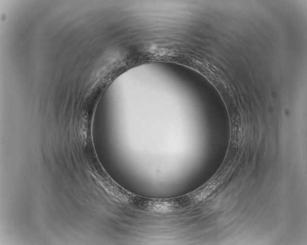 X0000060280710200511011006