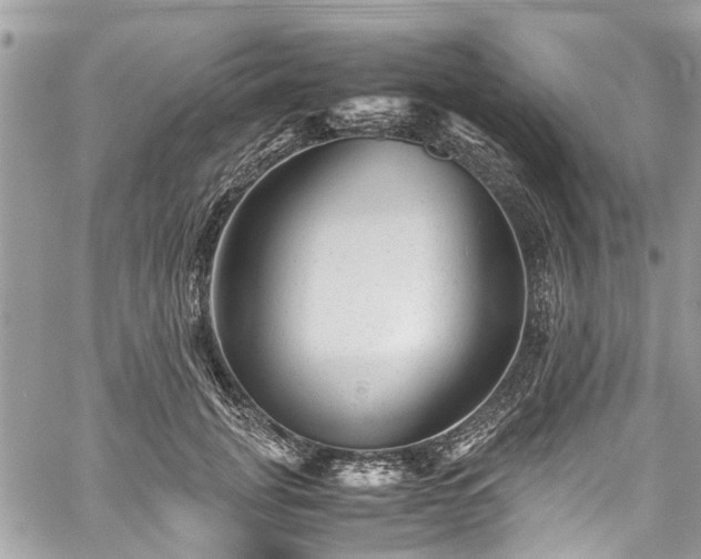 X0000060280751200511011006