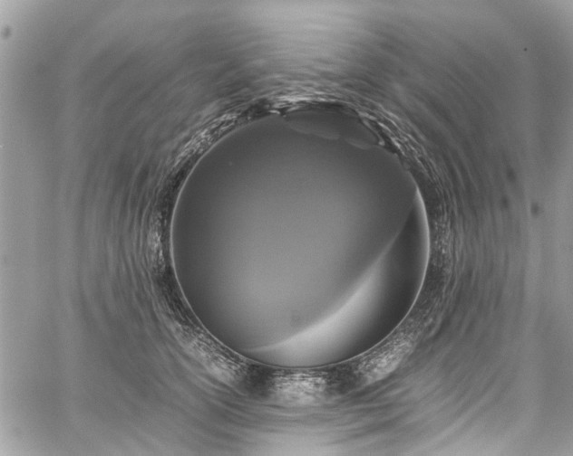 X0000060280754200511011006