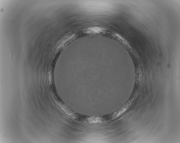 X0000060280762200511011006