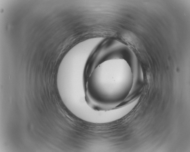 X0000060280766200511011006