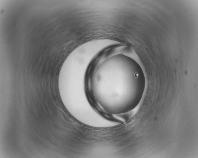 X0000060280768200511011006