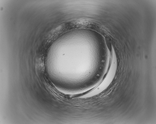 X0000060280771200511011005