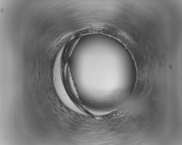 X0000060280773200511011005