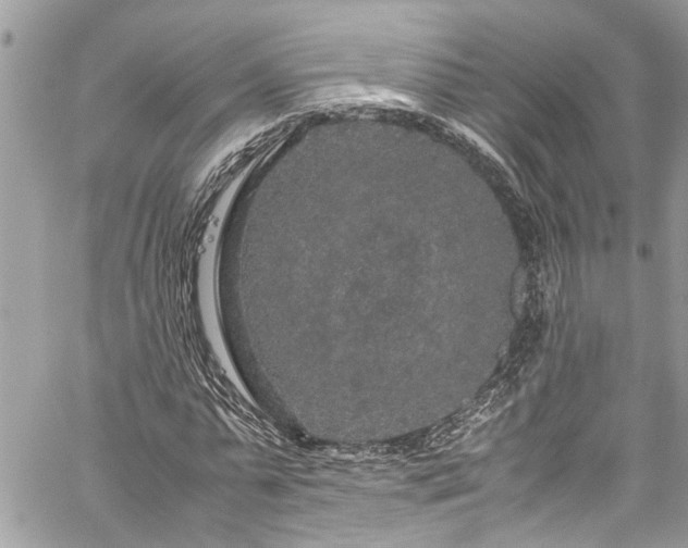 X0000060280775200511011005