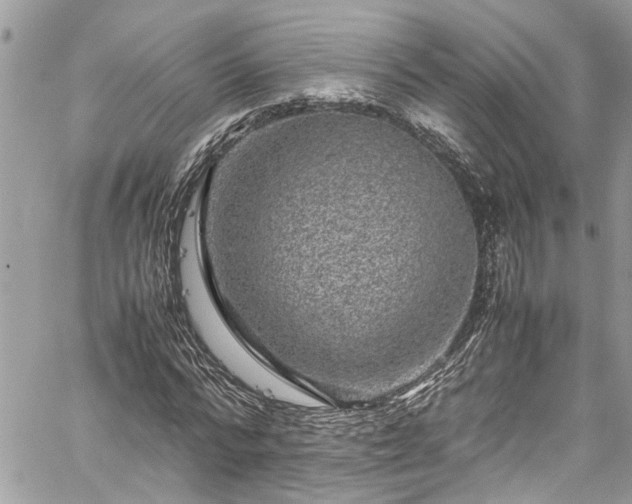 X0000060280776200511011005