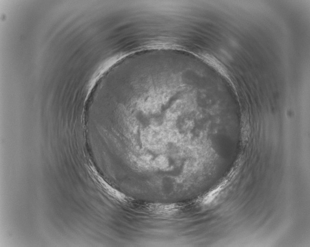 X0000060280831200511011004