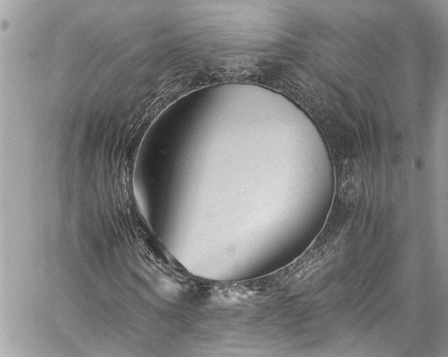 X0000060280866200511011004
