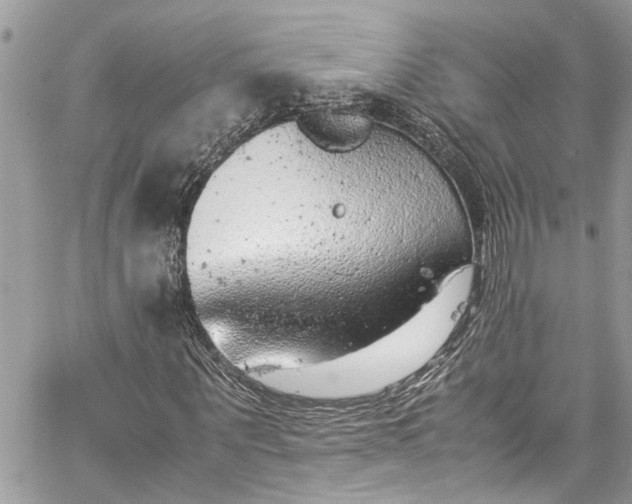 X0000060280867200511011004