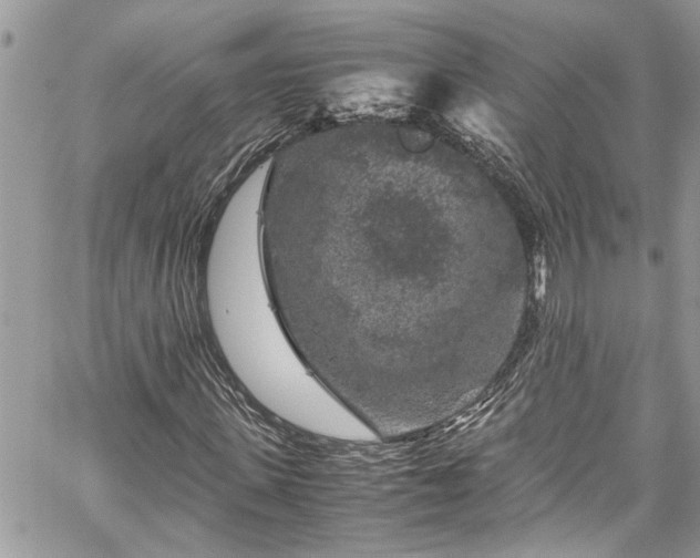 X0000060280915200511011002