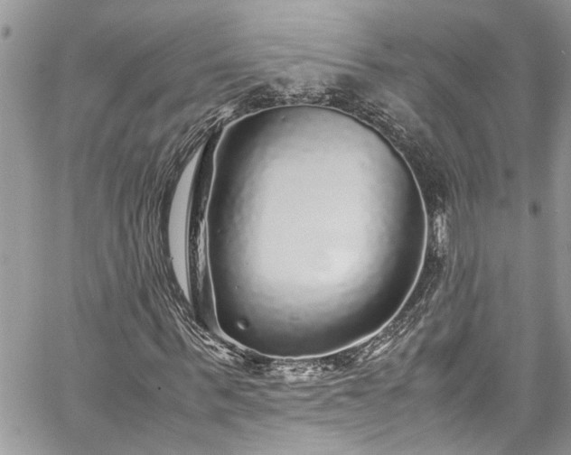 X0000060280963200511011002