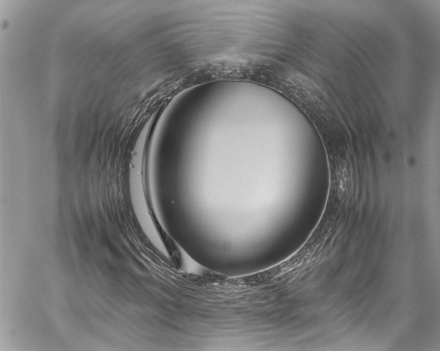 X0000060280964200511011002