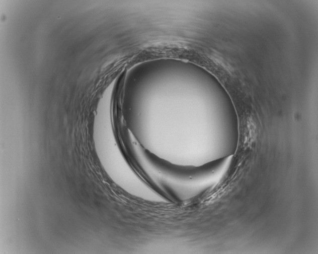X0000060280965200511011002