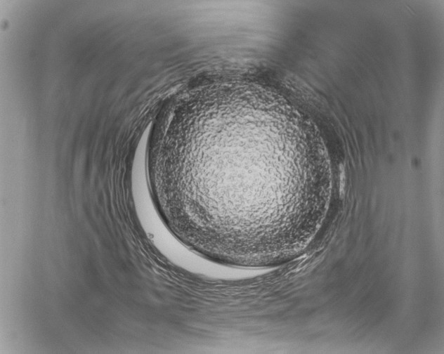 X0000060281059200511011000