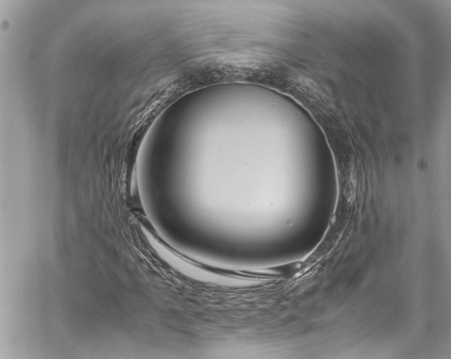 X0000060281061200511011000