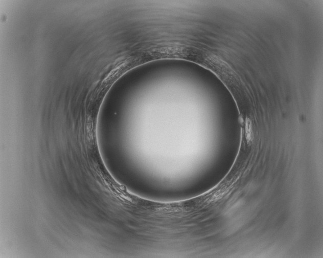 X0000060281107200511010959